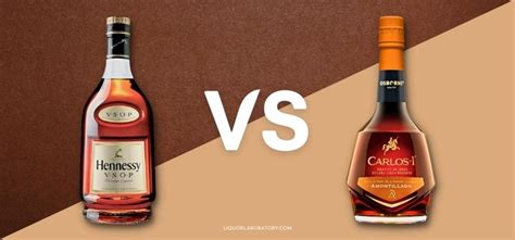 brandy & mr whiskers|brandy vs cognac difference.